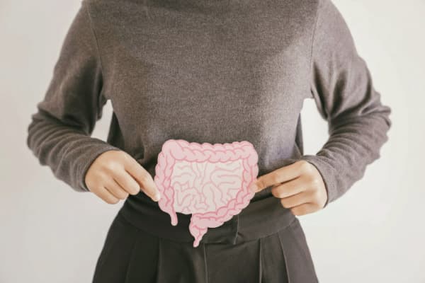 The Link Between Gut Health and Menstrual Health